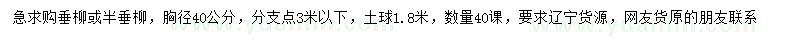 求購(gòu)胸徑40公分垂柳或半垂柳