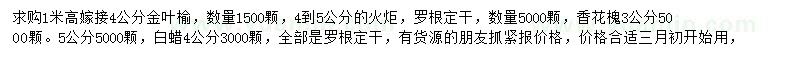 求購(gòu)金葉榆、火炬、香花槐