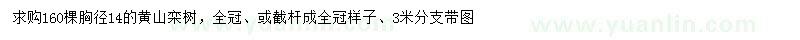 求購14-15公分黃山欒樹