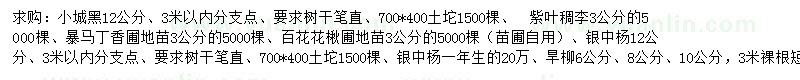 求購小城黑、紫葉稠李、銀中楊等