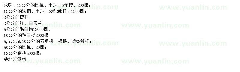 求購(gòu)國(guó)槐、法桐、櫻花等