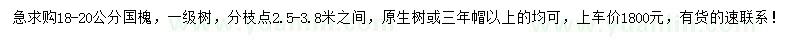 求購18-20公分國槐
