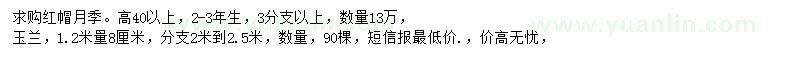 求購(gòu)高40公分以上紅帽月季、1.2米量8公分玉蘭
