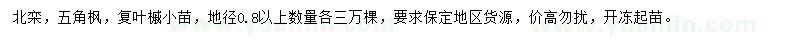 求購北欒小苗、五角楓小苗、復葉槭小苗