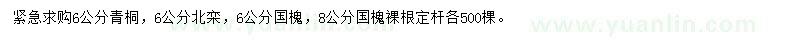 求購(gòu)青桐、北欒、國(guó)槐