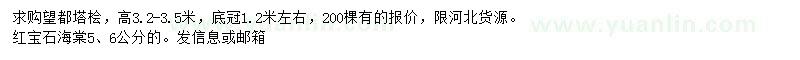 求購(gòu)高3.2-3.5米望都塔檜、5、6公分紅寶石海棠