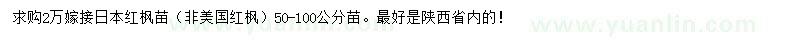 求購50-100公分日本紅楓