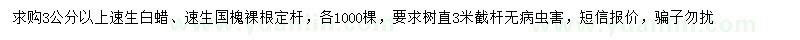 求購3公分以上速生白蠟、速生國槐
