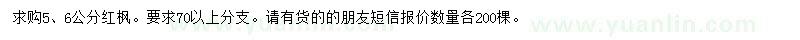 求購5、6公分紅楓