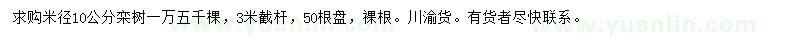 求購米徑10公分欒樹