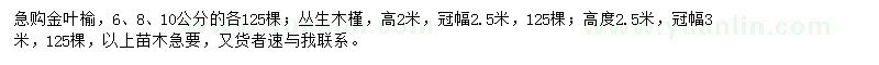 求購6、8、10公分金葉榆、高2、2.5米木槿