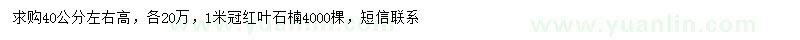 求購紅葉石楠、金森女貞營養(yǎng)杯苗