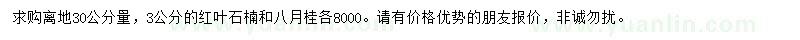 求購離地30公分量3公分紅葉石楠、八月桂