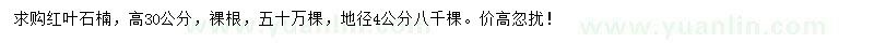 求購高30公分紅葉石楠