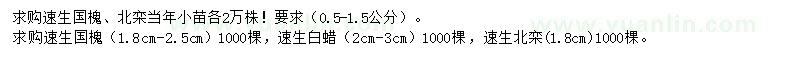 求購(gòu)速生國(guó)槐、北欒、速生白蠟等