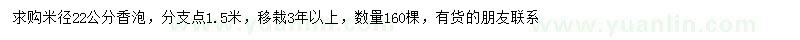 求購米徑22公分香泡