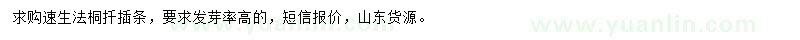 求購速生法桐扦插條