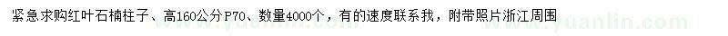 求購(gòu)高160公分紅葉石楠柱