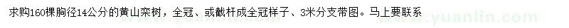 求購(gòu)胸徑14公分黃山欒樹(shù)