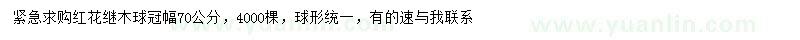 求購(gòu)冠幅70公分紅花繼木球