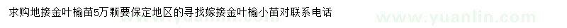 求購(gòu)地接金葉榆苗
