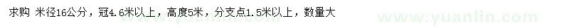 求購米徑16公分桂花
