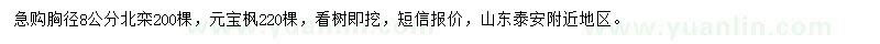 求購(gòu)胸徑8公分北欒、元寶楓