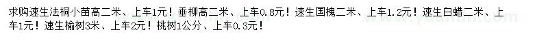 求購速生法桐、速生國槐、垂柳等