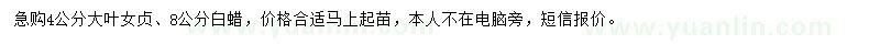 求購(gòu)4公分大葉女貞、8公分白蠟