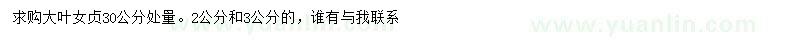 求購30公分處量大葉女貞