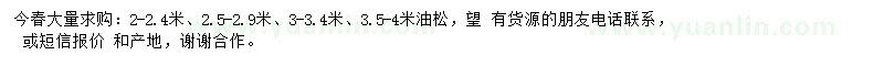 求購2-2.4米、2.5-2.9米、3-3.4米、3.5-4米油松
