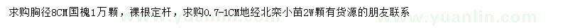 求購(gòu)8公分國(guó)槐、0.7公分北欒苗子