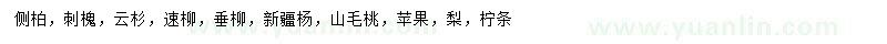 求購側(cè)柏、刺槐、云杉等