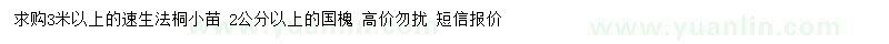 求購3米以上速生法桐小苗  2公分以上國槐