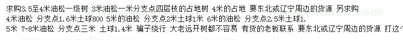 求購3.5-4米油松