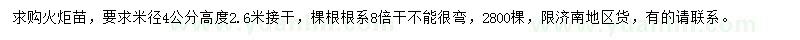 求購(gòu)米徑4公分火炬苗