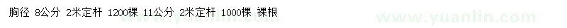求購(gòu)胸徑8公分沙棗樹