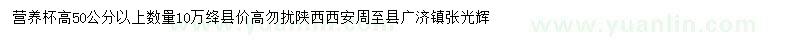 求購高50公分以上白皮松