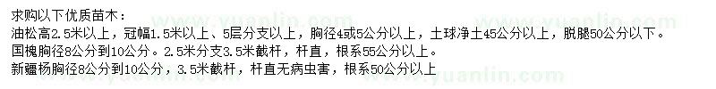 求購油松、國槐、新疆楊