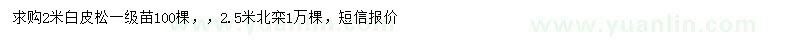 求購2米白皮松、2.5米北京欒樹