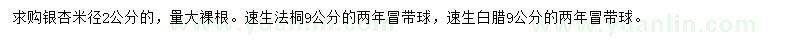 求購銀杏、速生法桐、速生白臘
