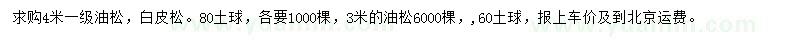 求購(gòu)3米、4米油松、4米白皮松