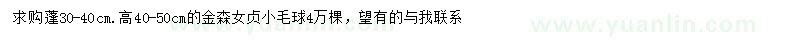 求購(gòu)冠幅30-40公分金森女貞