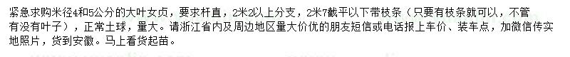 求購(gòu)4公分、5公分大葉女貞