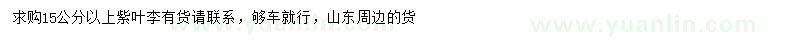 求購(gòu)15公分以上紫葉李