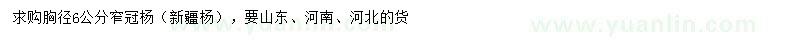 求購胸徑6公分新疆楊