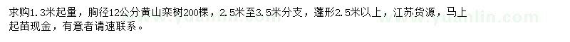 求購(gòu)胸徑12公分黃山欒樹200棵
