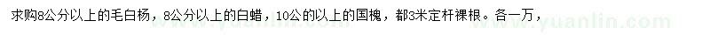 求購8公分以上毛白楊