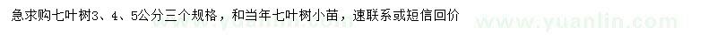 求購3、4、5公分七葉樹