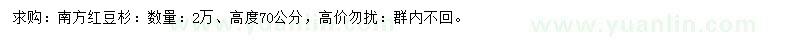 求購高70公分南方紅豆杉